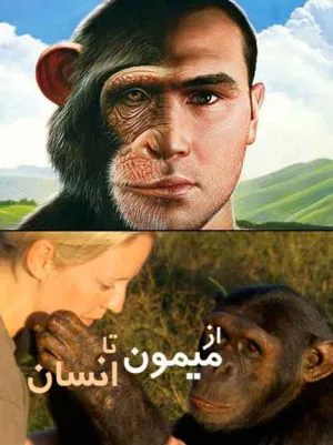 از میمون تا انسان