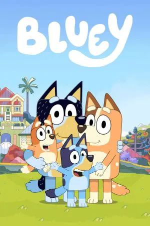 بلویی